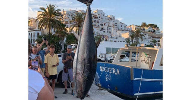 atun moraira