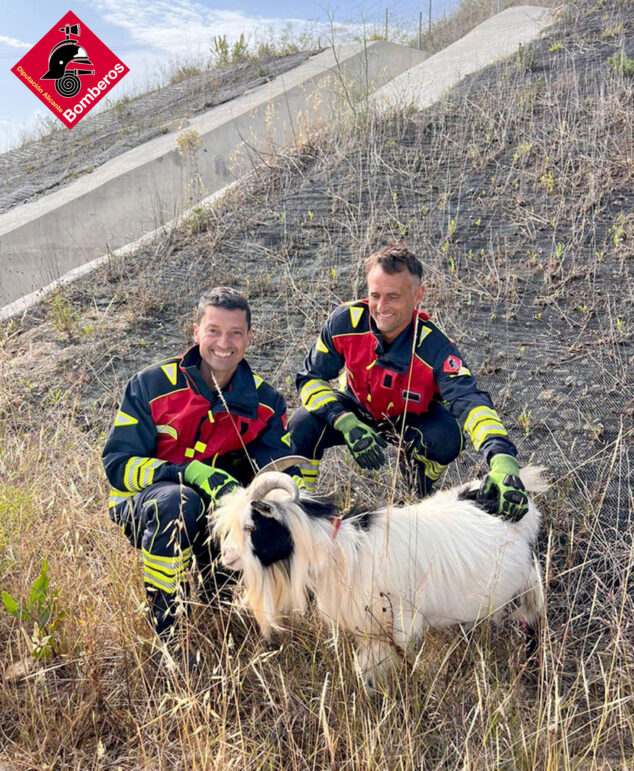 Imagen: Bomberos de la Diputación de Alicante en el rescate de la cabra en Benissa