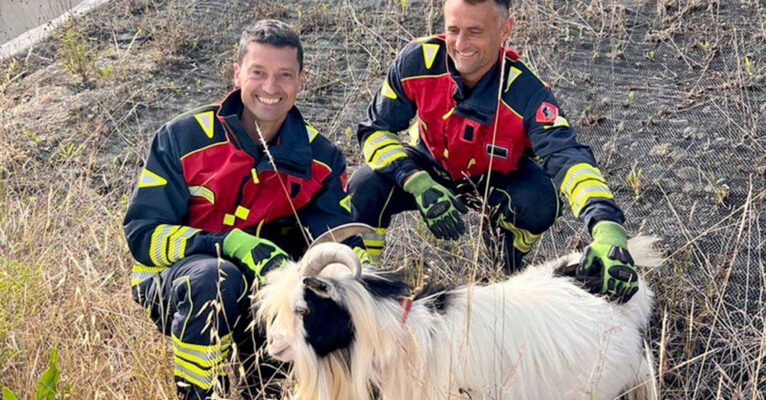 Bomberos de la Diputación de Alicante en el rescate de una cabra en Benissa