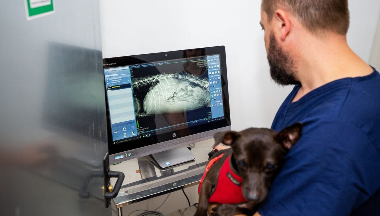 Equipo médico especializado en radiografías