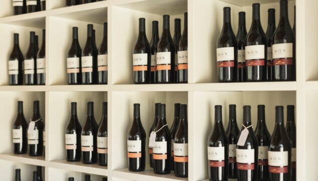 Montesanco 15 este proyecto vitivinicola comenzo en el ano 2000