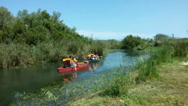 ruta en barca por la marjal de pego