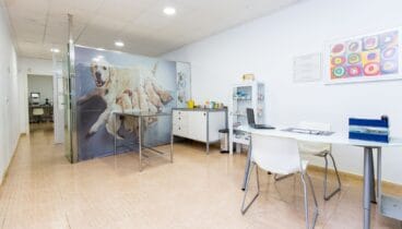 Sala de consulta de Clínica Veterinària Dénia