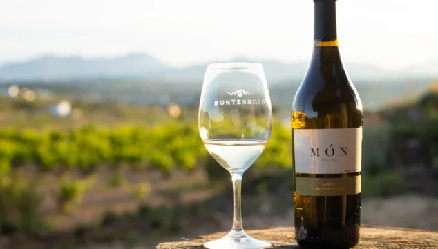 un brindis con el vino de montesanco