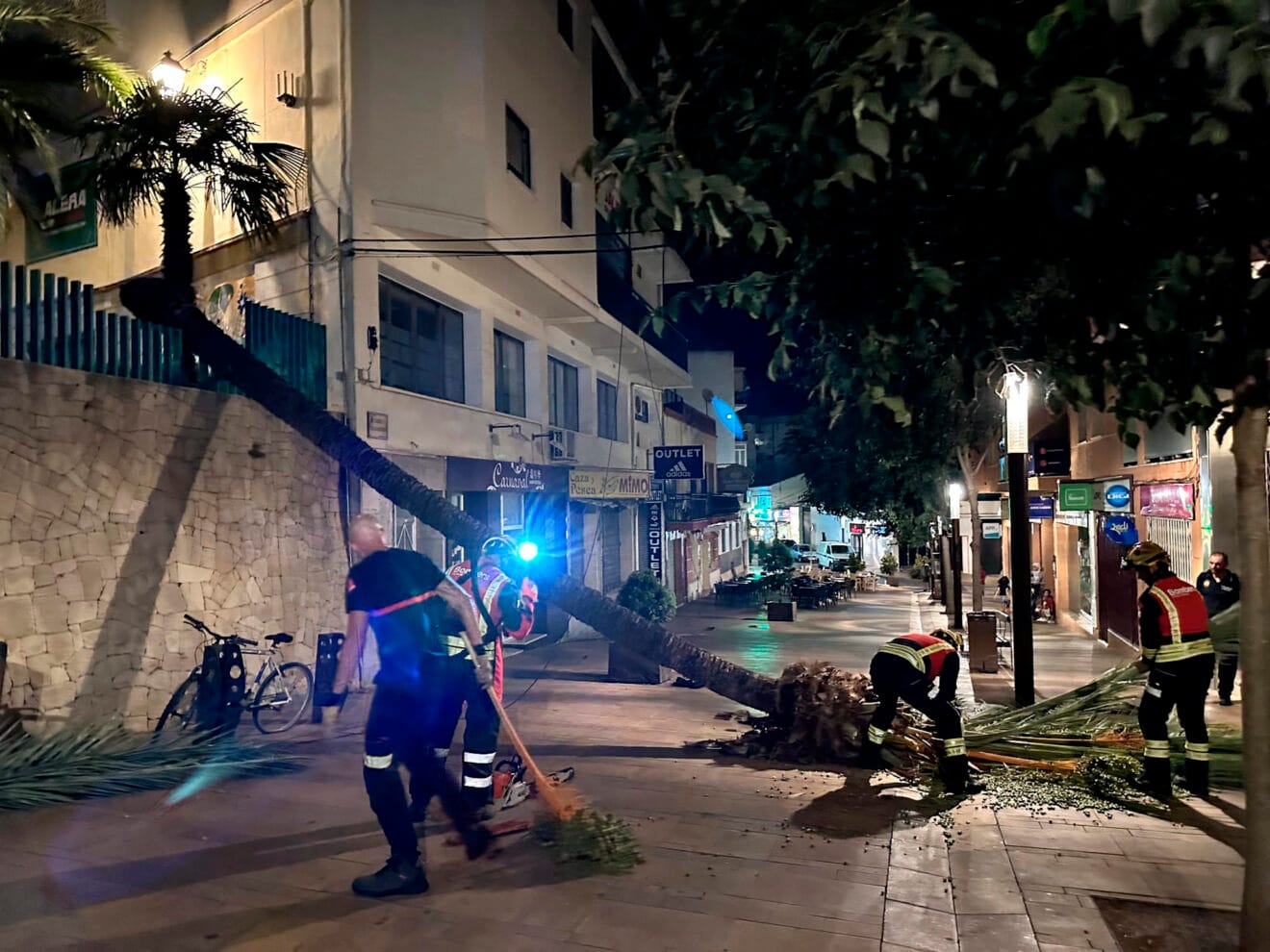 Bomberos en los trabajos de extracción de la palmera caída en Calp
