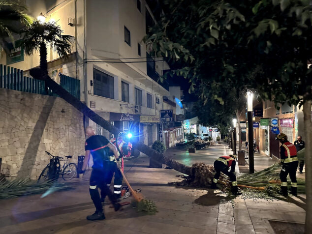 bomberos en los trabajos de extraccion de la palmera caida en calp