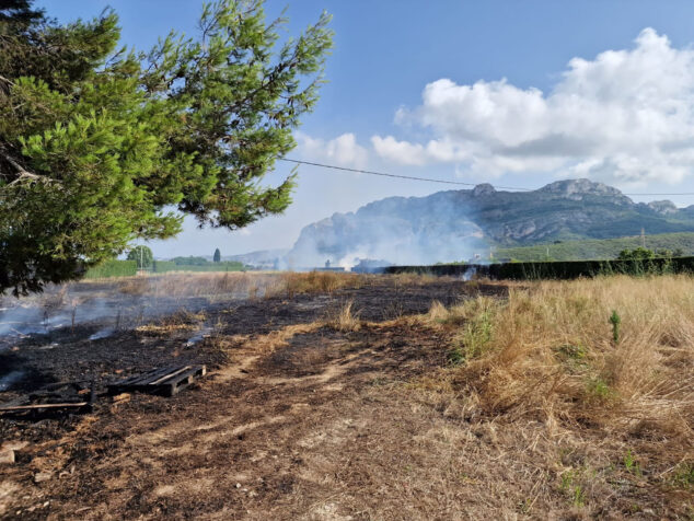 campos quemados en el verger junto al poligono