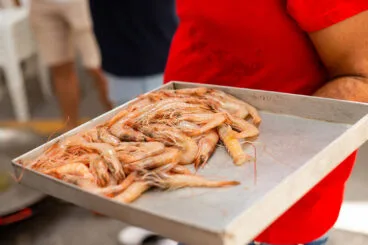 Concurso de fideuà y allioli en Benitatxell 2023 18