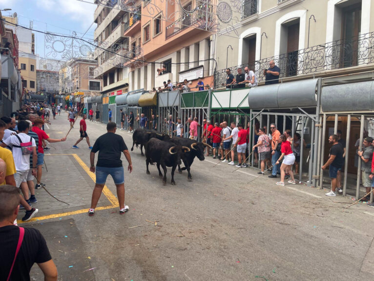 Día de Bous al carrer de Pedreguer este 2023