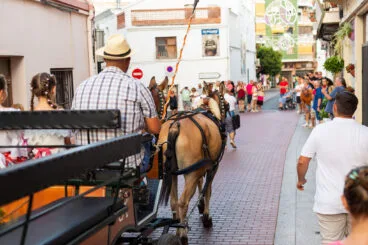Entrada de la murta y crida a la festa de Calp 52