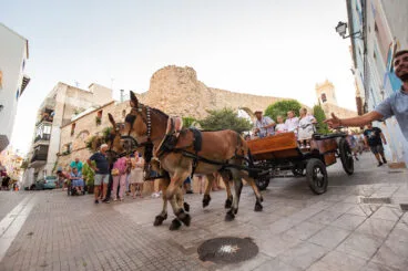 Entrada de la murta y crida a la festa de Calp 77