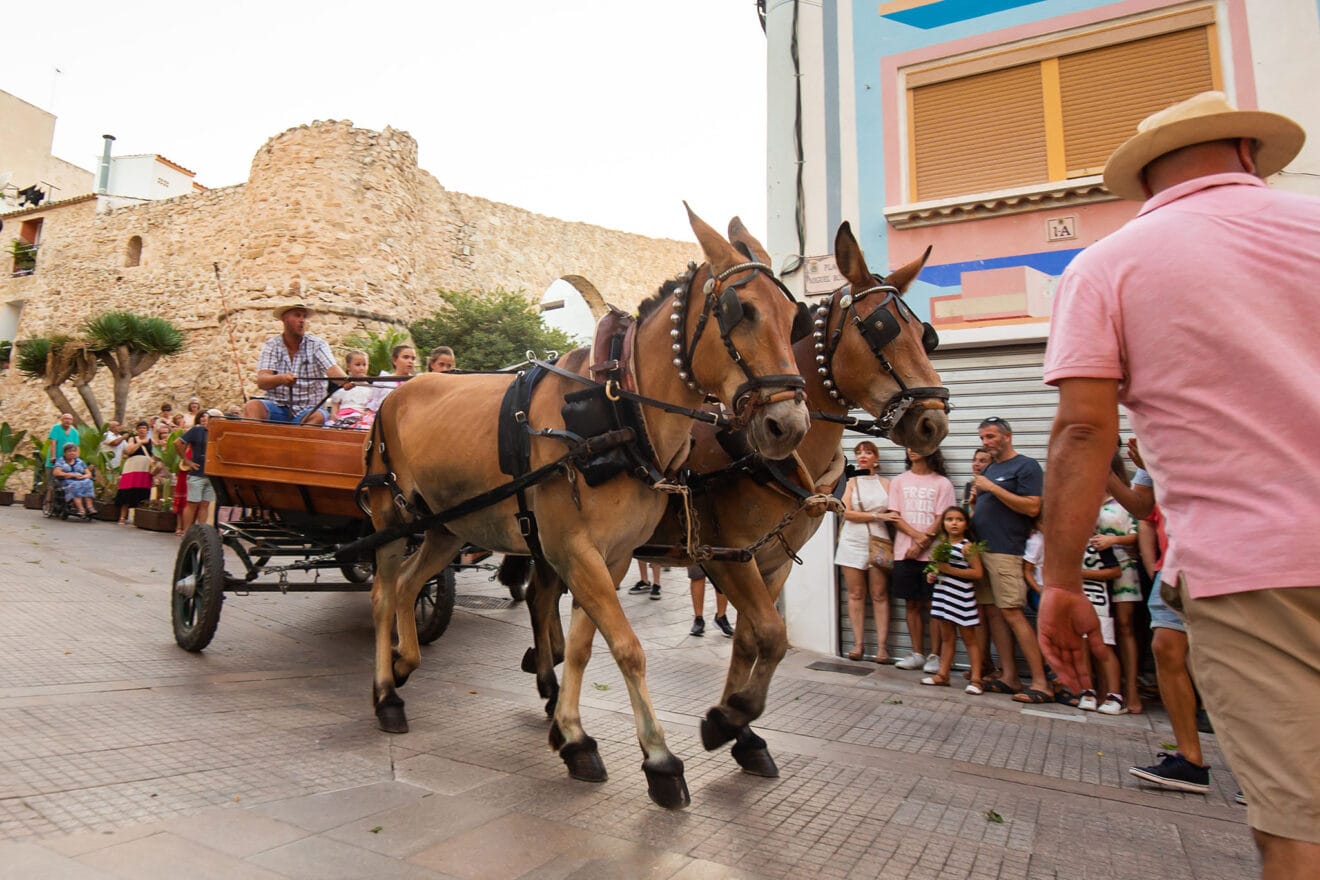 Entrada de la murta y crida a la festa de Calp 78