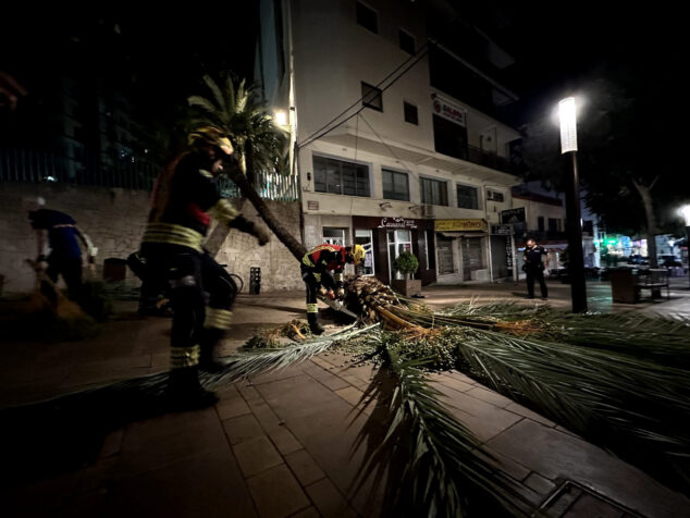 retirada de la palmera de la calle almendros de calp