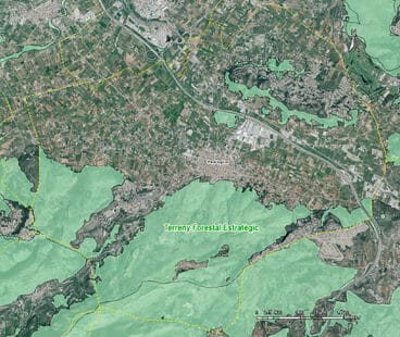 Terreno forestal estratégico de Pedreguer con vigilancia ambiental