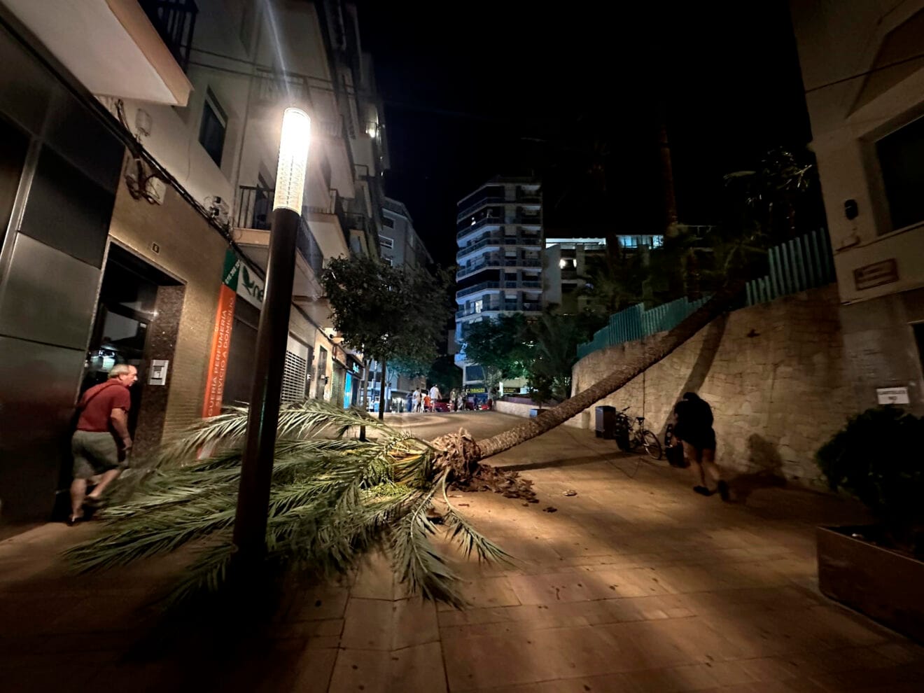 Transeúntes esquivando el gran árbol caído en una calle de Calp