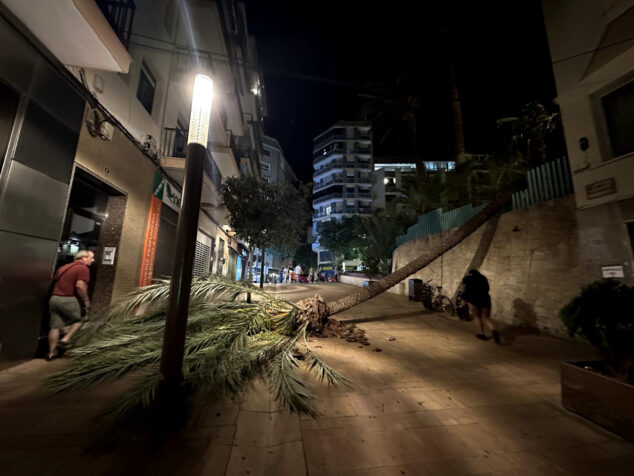 Imagen: Transeúntes esquivando el gran árbol caído en una calle de Calp