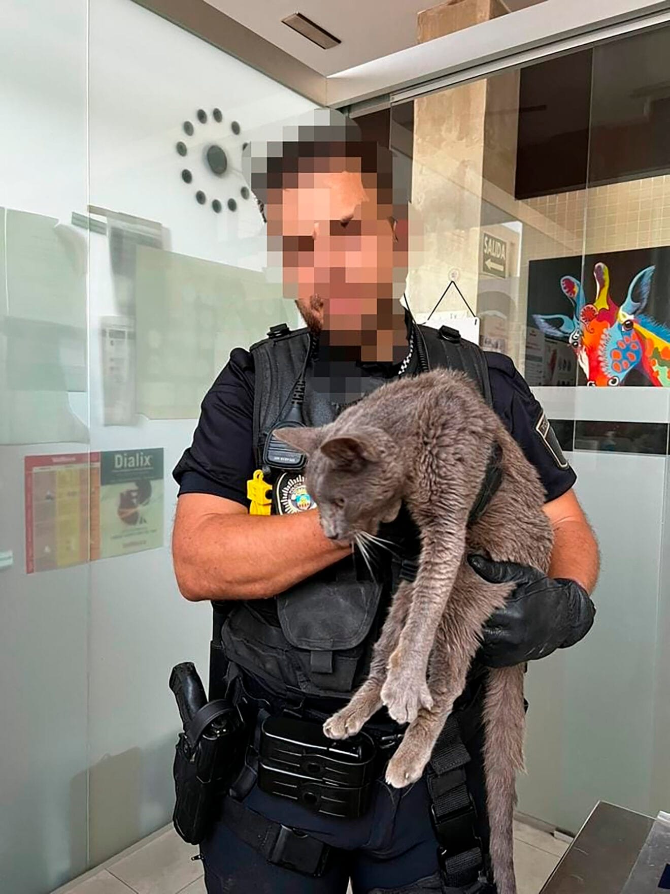Agente de la Policía Local de Benissa que intervino en el rescate del felino herido
