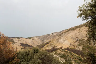 Barranc de Malafí un año después del incendio de la Vall d’Ebo