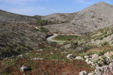 Carretera de Pego a la Vall d’Ebo dos meses después del incendio