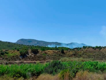 Columna de humo del incendio en Gata de Gorgos – Vicente de Miguel