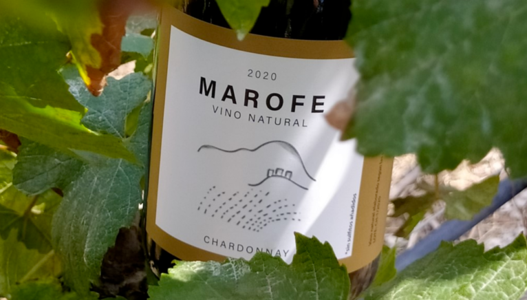 El vino Marofe de Finca Mont Roig