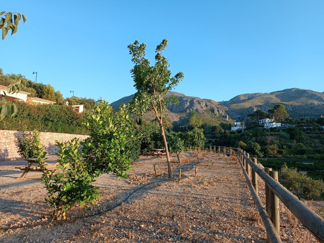 Espacio verde en Penya del Gat Pego