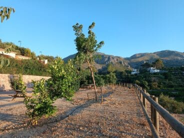 Espacio verde en Penya del Gat Pego