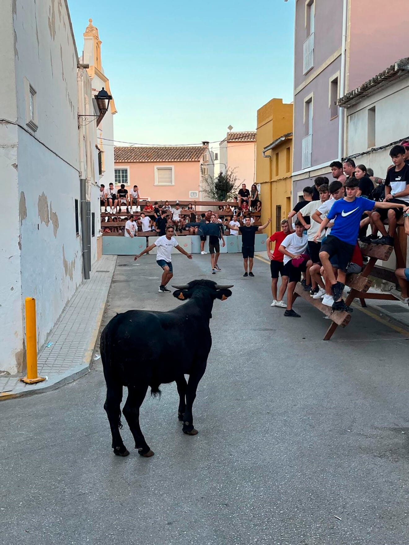Evento taurino en las fiestas de Pamis