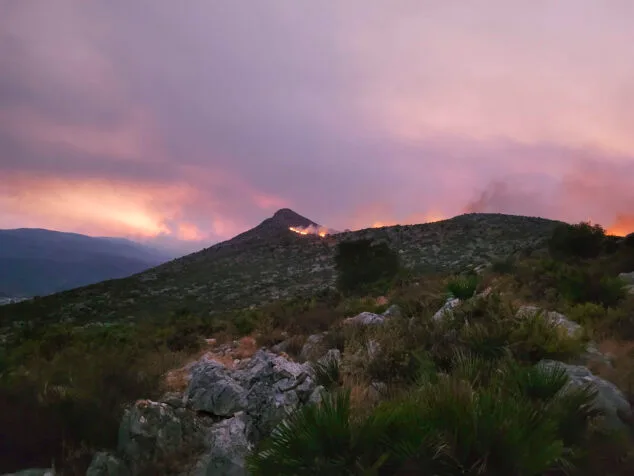 Un año desde que el fuego tiñó de naranja el pulmón de la Marina Alta 1 Imagen: Llamas del incendio de Vall d'Ebo (lunes 15 de agosto)