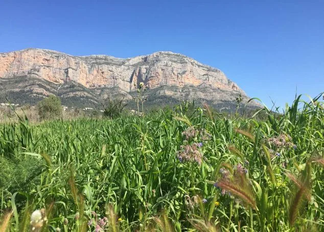 Imagen: Montgó