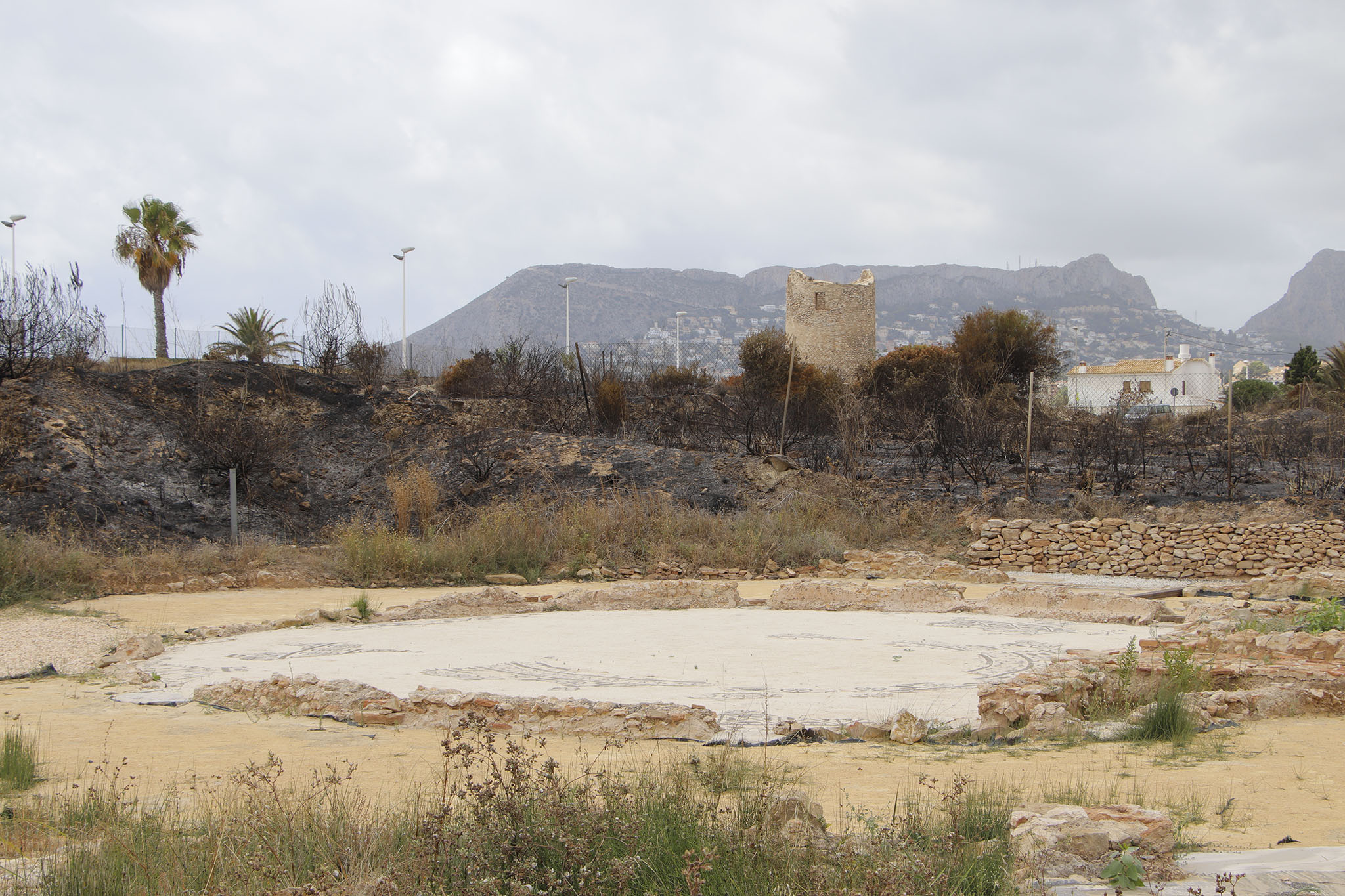 Mosaico intacto en los Baños de la Reina de Calp a escasos metros de la zona arrasada por el fuego