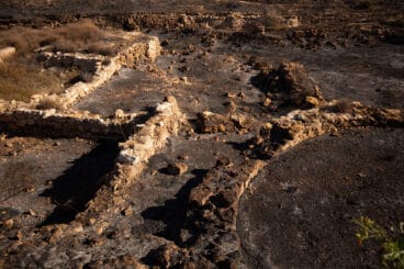 Parcela quemada en Calp 01
