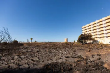 Parcela quemada en Calp 02