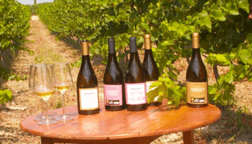 vinos naturales para paladares exigentes