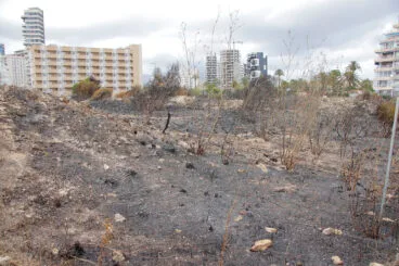 Zona de los Baños de la Reina afectada por el incendio 08