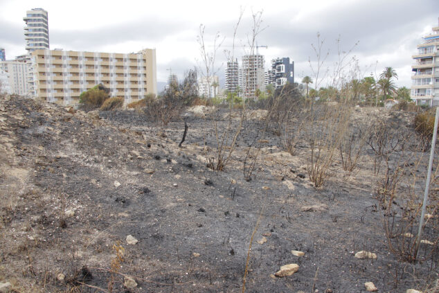 zona de los banos de la reina afectada por el incendio 08