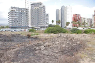 Zona de los Baños de la Reina afectada por el incendio 09