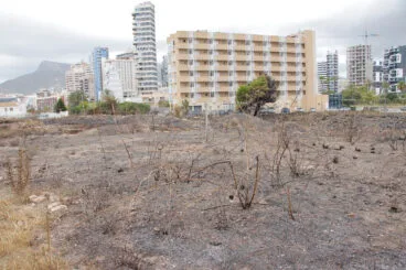 Zona de los Baños de la Reina afectada por el incendio 11