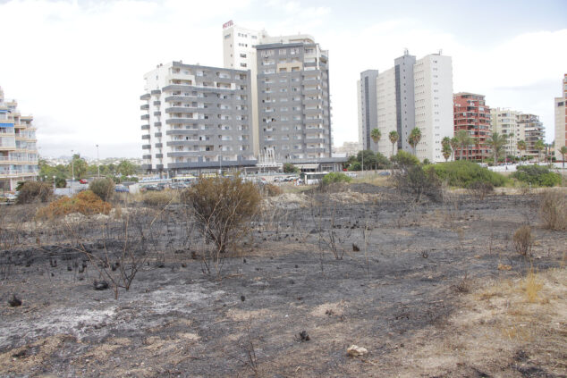 zona de los banos de la reina afectada por el incendio 12