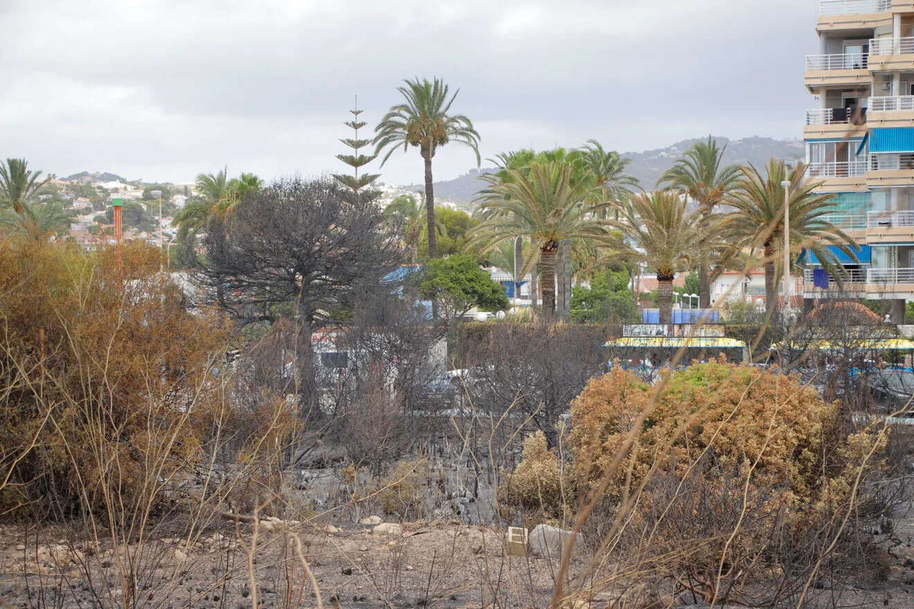 Zona de los Baños de la Reina afectada por el incendio