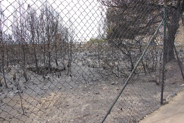 zona de los banos de la reina afectada por el incendio 18