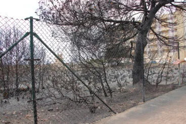 Zona de los Baños de la Reina afectada por el incendio 19
