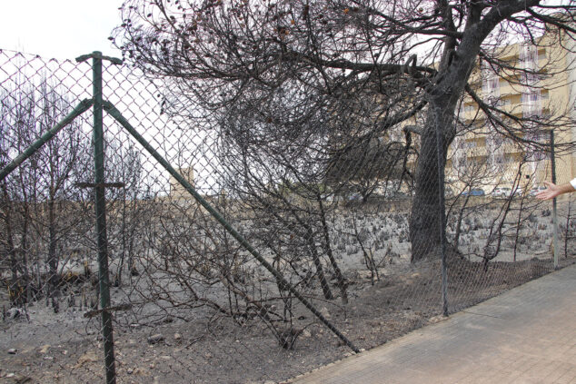 zona de los banos de la reina afectada por el incendio 19