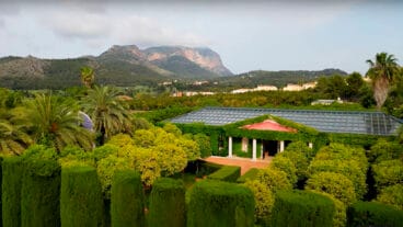 el jardi de lalbarda con el montgo de fondo