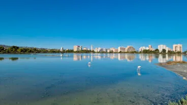 flamencos en les salines de calp en septiembre de 2023