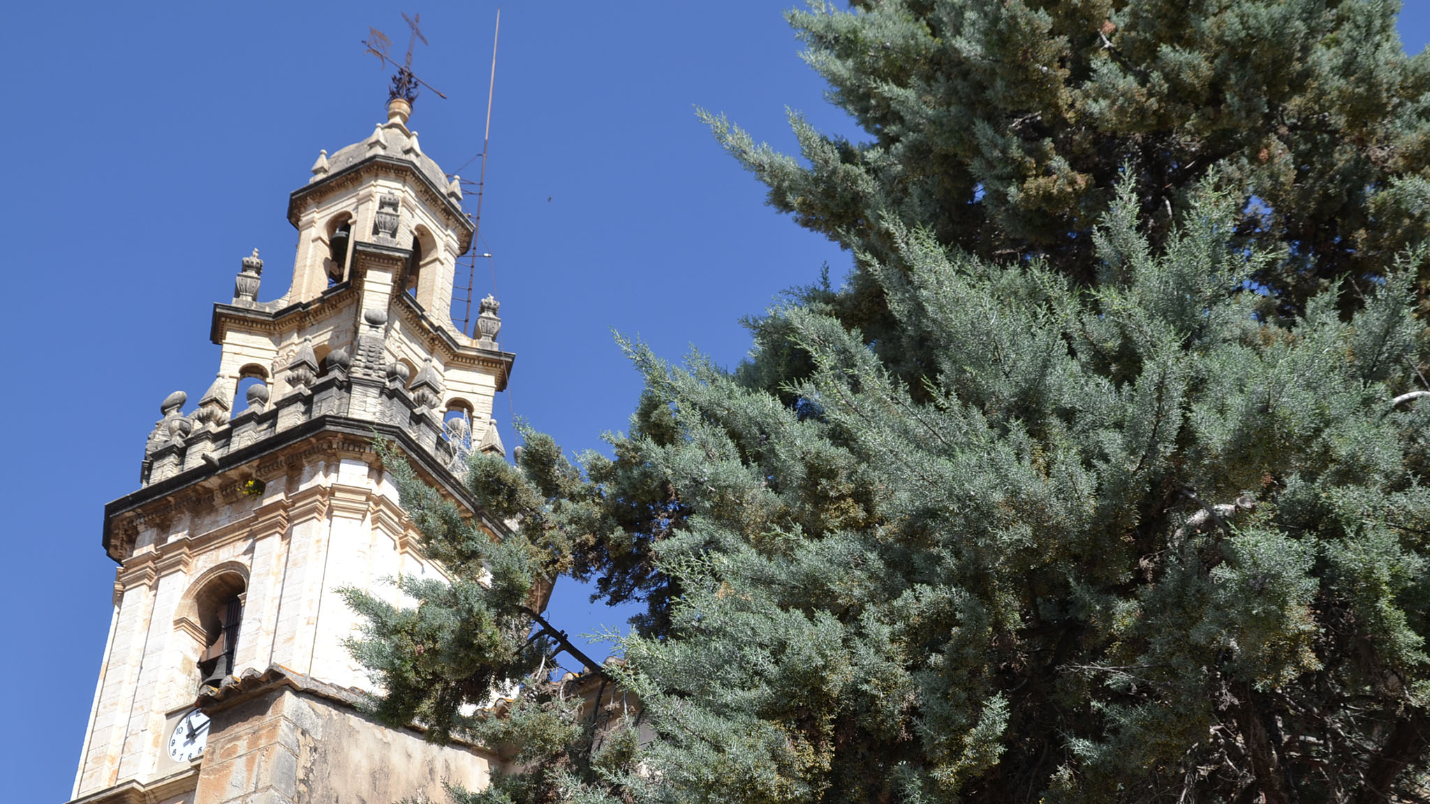 campanario de la iglesia de la asuncion de pego