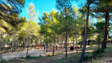 el nuevo refugio climatico ubicado en el pinaret del pla de teulada