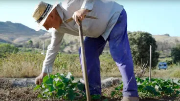 fragmento del video del proceso participativo sobre la recuperacion del territorio de les valls de la marina