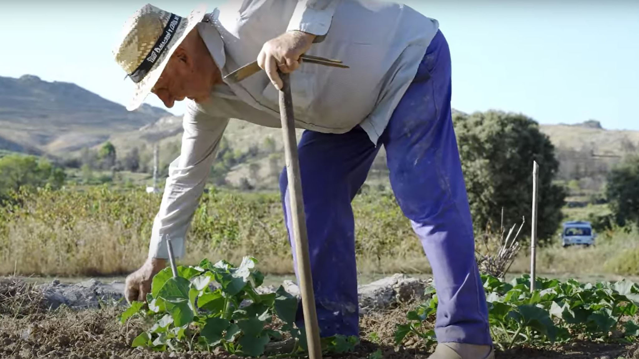 fragmento del video del proceso participativo sobre la recuperacion del territorio de les valls de la marina