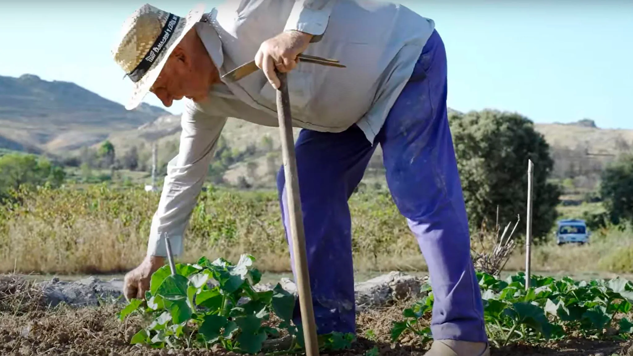 fragmento del video del proceso participativo sobre la recuperacion del territorio de les valls de la marina
